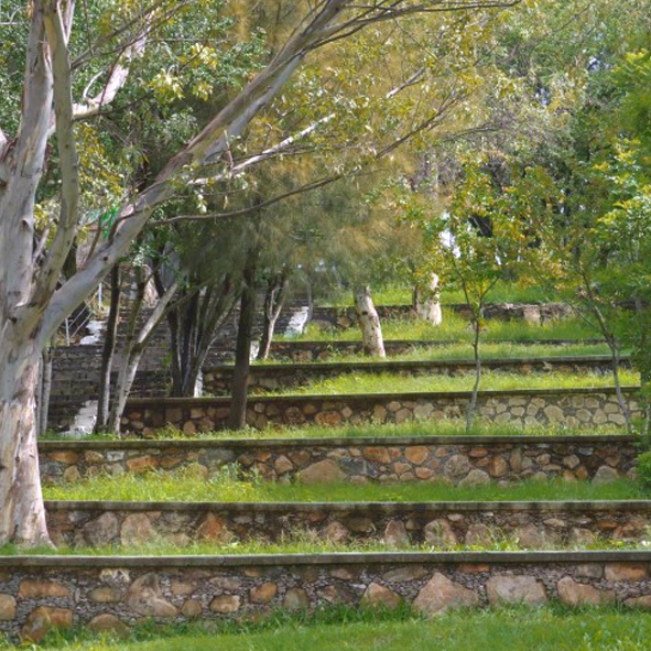Explorar el Cerro de la Reina – JALISCO, MARAVILLAS NATURALES